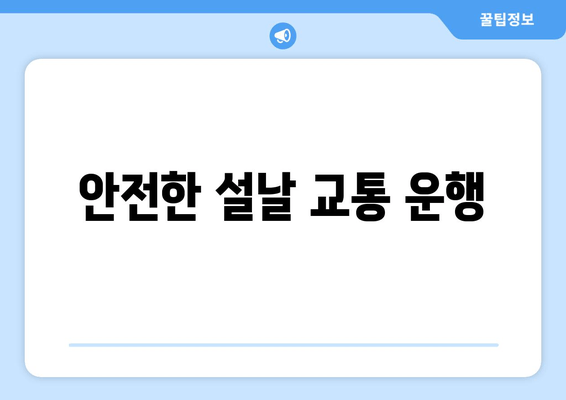 안전한 설날 교통 운행