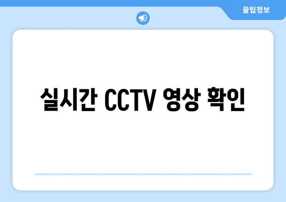 실시간 CCTV 영상 확인