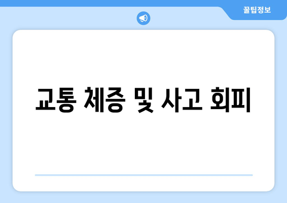 교통 체증 및 사고 회피