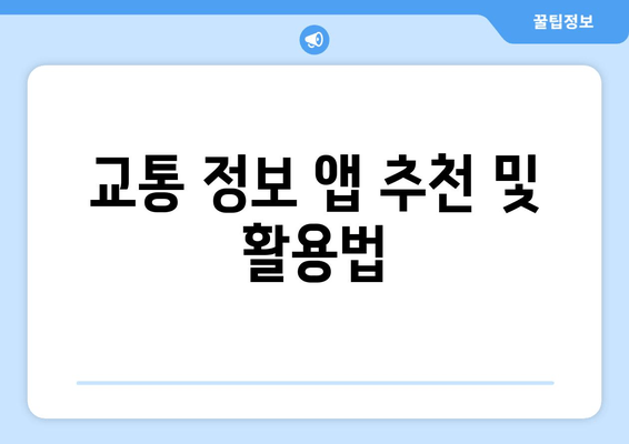 교통 정보 앱 추천 및 활용법