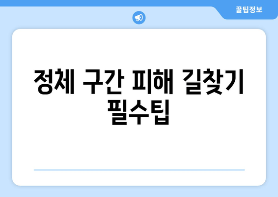 정체 구간 피해 길찾기 필수팁