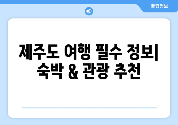 제주도 여행 필수 정보| 숙박 & 관광 추천