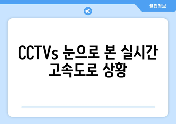 CCTVs 눈으로 본 실시간 고속도로 상황