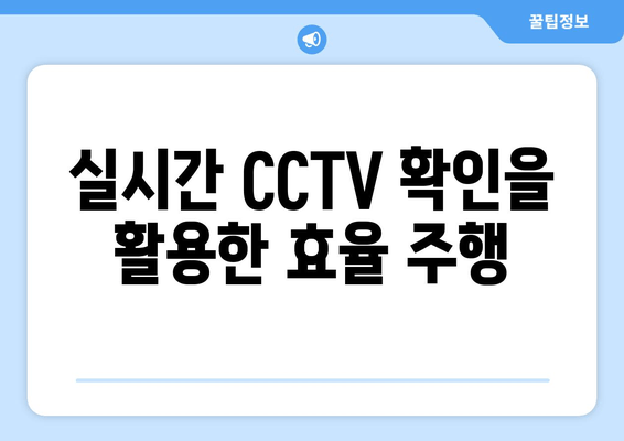 실시간 CCTV 확인을 활용한 효율 주행