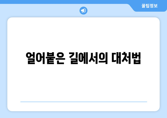 얼어붙은 길에서의 대처법