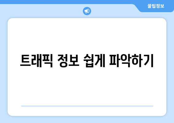 트래픽 정보 쉽게 파악하기