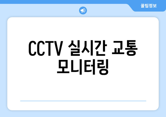 CCTV 실시간 교통 모니터링