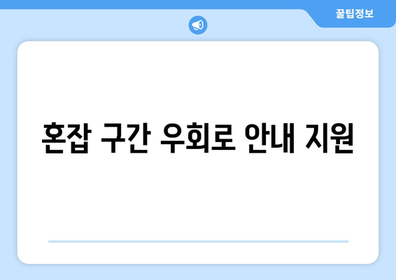 혼잡 구간 우회로 안내 지원