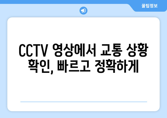 CCTV 영상에서 교통 상황 확인, 빠르고 정확하게