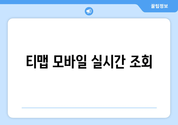 티맵 모바일 실시간 조회