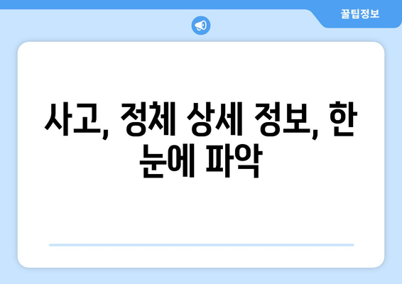 사고, 정체 상세 정보, 한 눈에 파악