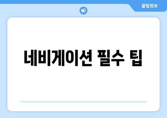 네비게이션 필수 팁