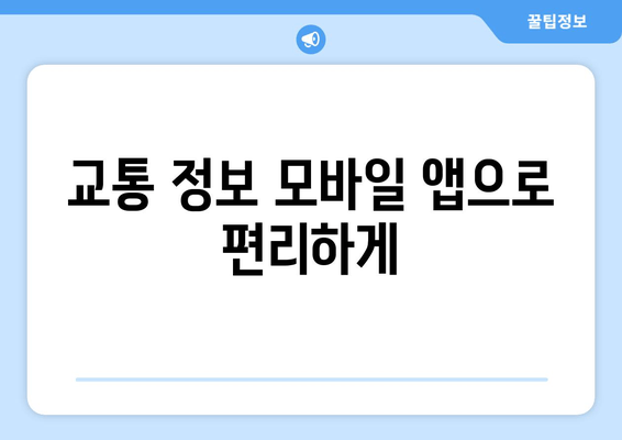 교통 정보 모바일 앱으로 편리하게