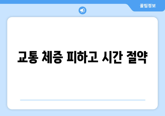 교통 체증 피하고 시간 절약