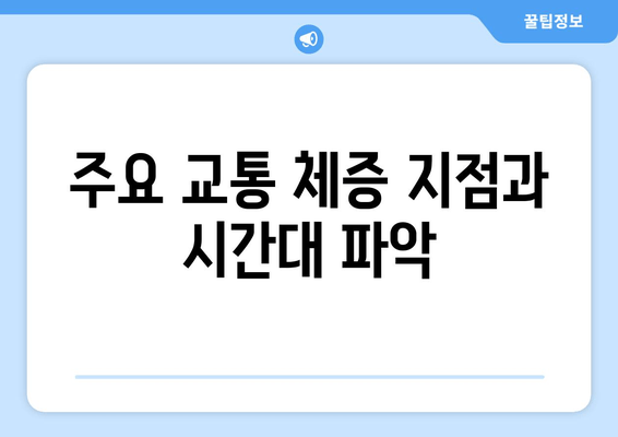 주요 교통 체증 지점과 시간대 파악