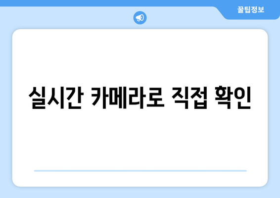 실시간 카메라로 직접 확인