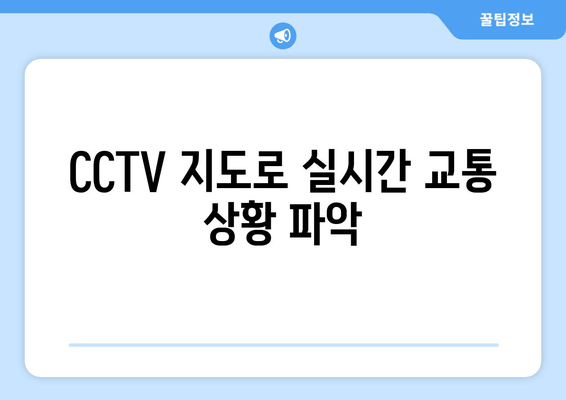 CCTV 지도로 실시간 교통 상황 파악