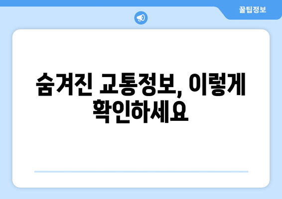 숨겨진 교통정보, 이렇게 확인하세요