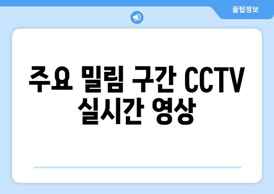 주요 밀림 구간 CCTV 실시간 영상