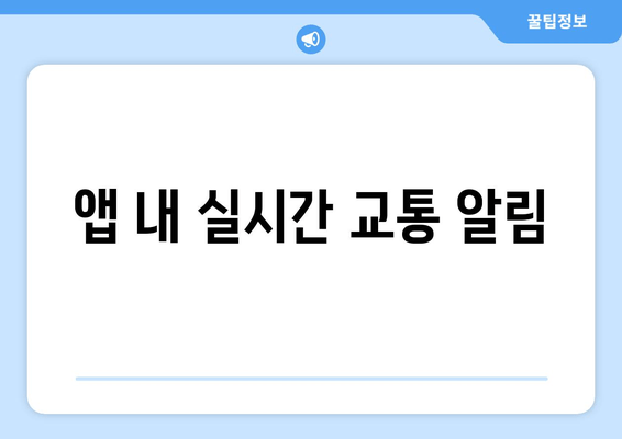 앱 내 실시간 교통 알림