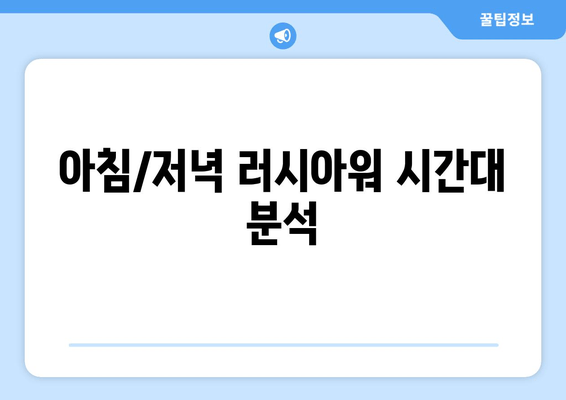 아침/저녁 러시아워 시간대 분석