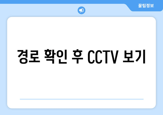 경로 확인 후 CCTV 보기