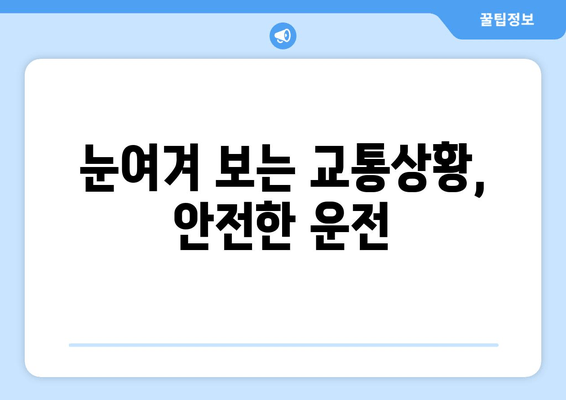 눈여겨 보는 교통상황, 안전한 운전