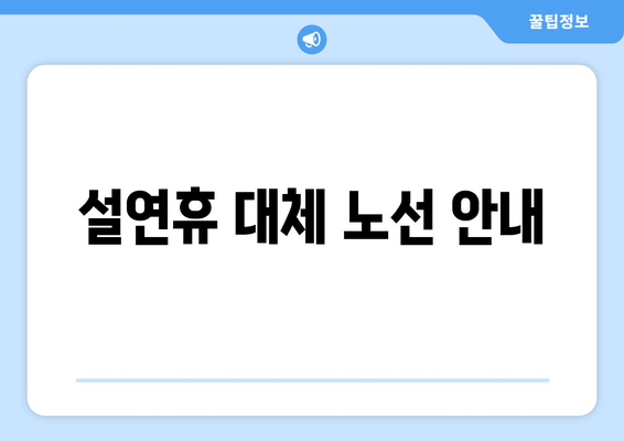 설연휴 대체 노선 안내