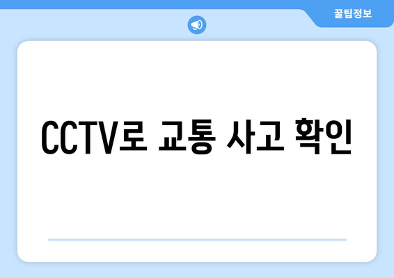 CCTV로 교통 사고 확인