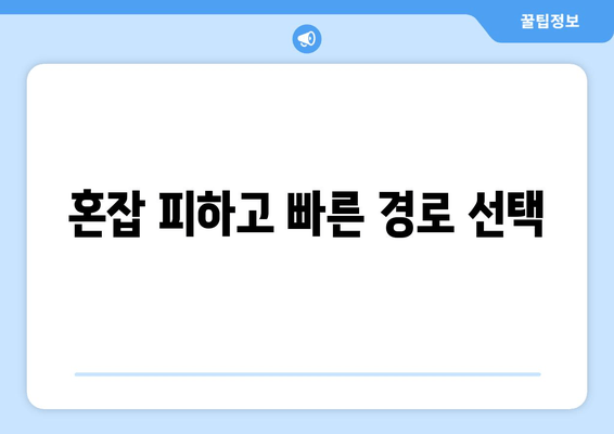 혼잡 피하고 빠른 경로 선택