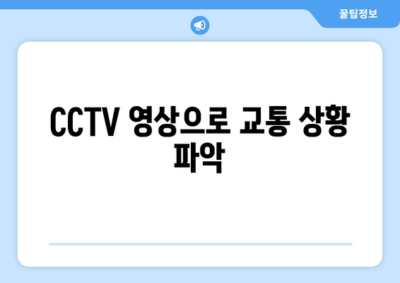 CCTV 영상으로 교통 상황 파악