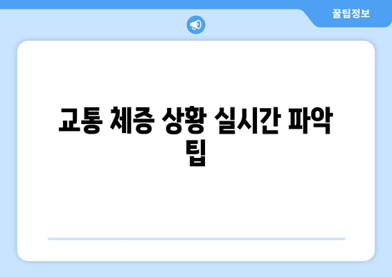 교통 체증 상황 실시간 파악 팁