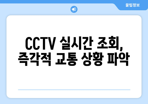 CCTV 실시간 조회, 즉각적 교통 상황 파악