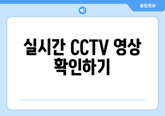 실시간 CCTV 영상 확인하기