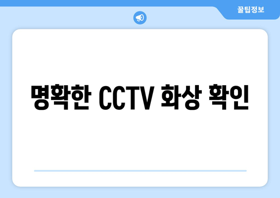 명확한 CCTV 화상 확인