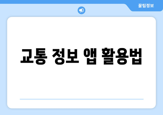 교통 정보 앱 활용법