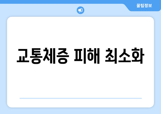 교통체증 피해 최소화