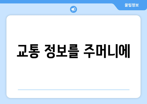 교통 정보를 주머니에