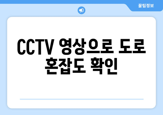 CCTV 영상으로 도로 혼잡도 확인