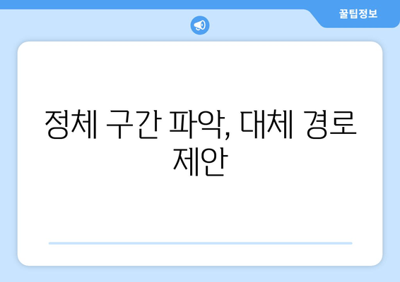 정체 구간 파악, 대체 경로 제안