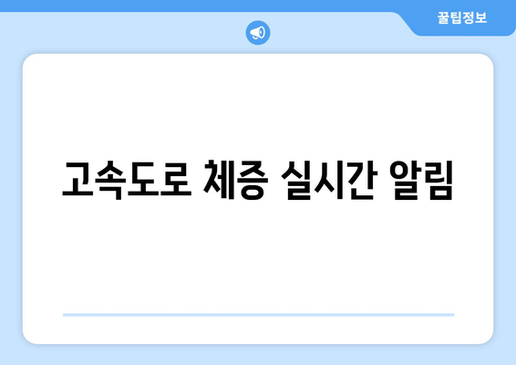 고속도로 체증 실시간 알림