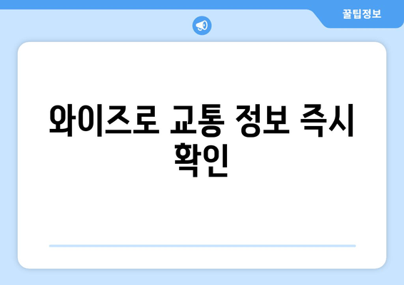 와이즈로 교통 정보 즉시 확인