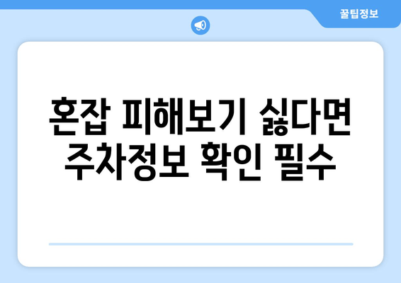 혼잡 피해보기 싫다면 주차정보 확인 필수