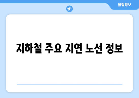 지하철 주요 지연 노선 정보