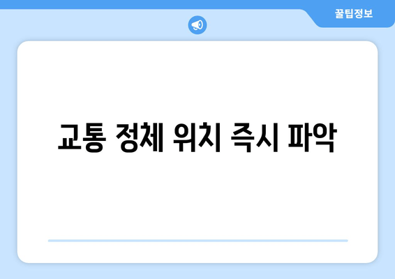 교통 정체 위치 즉시 파악