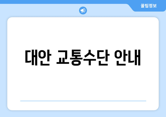 대안 교통수단 안내