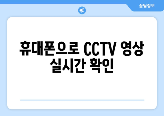 휴대폰으로 CCTV 영상 실시간 확인