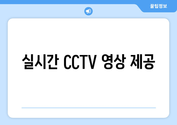 실시간 CCTV 영상 제공