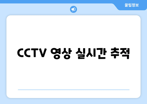 CCTV 영상 실시간 추적