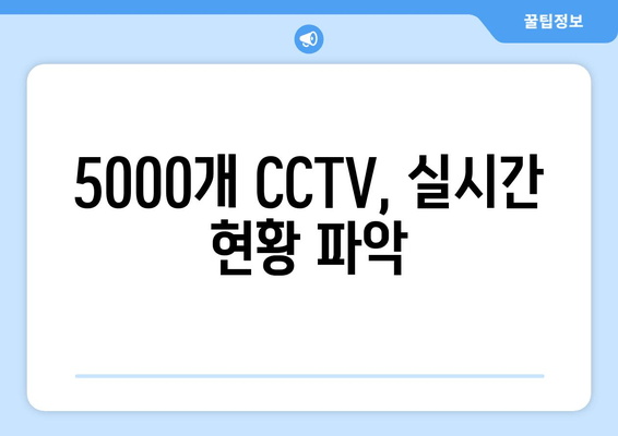 5000개 CCTV, 실시간 현황 파악